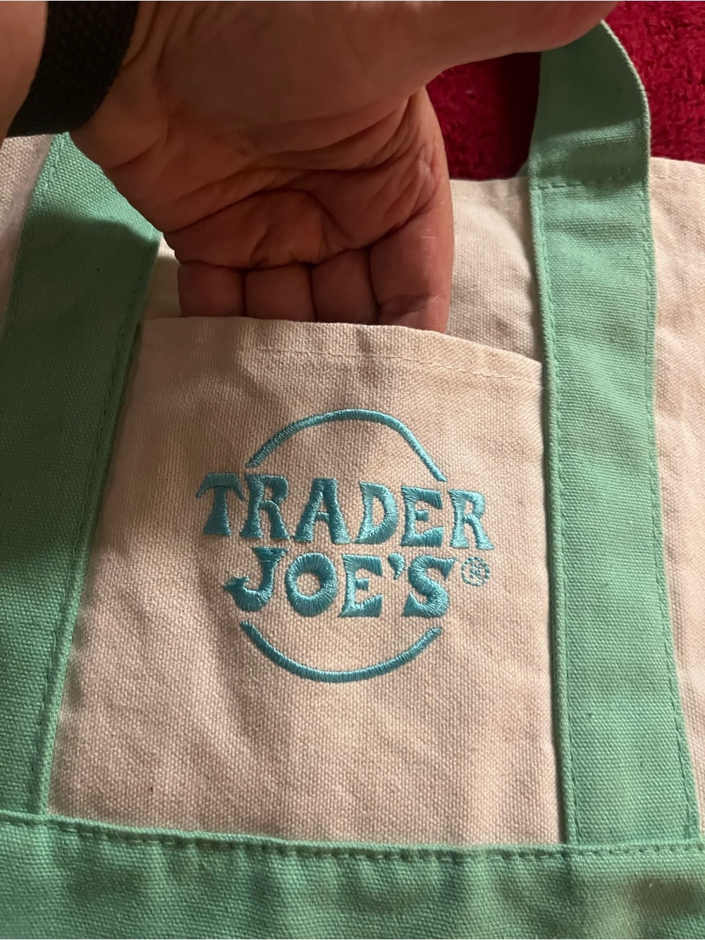 Trader Joe’s Mini Canvas Tote/Lunch Bag Pastel Mint Green Natural Reusable 13” - Picture 5 of 10
